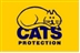 Cats Protection Spring Fete Cats Protection Spring Fete