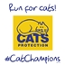 Run for cats Run for cats