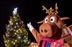 Downham Market Christmas Lights Switch On Downham Market Christmas Lights Switch On