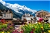 The Alps Trek 2020 The Alps Trek 2020
