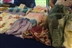 Knit One, Purr One at Catherine Beckett Centre Knit One, Purr One at Catherine Beckett Centre
