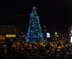 Cats Protection Stall at Canvey Christmas Lights Cats Protection Stall at Canvey Christmas Lights