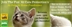 Pets at Home Fundraiser Pets at Home Fundraiser