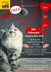Feline The Love Snip N Chip Event Feline The Love Snip N Chip Event