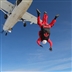 Red Devils skydive in Salisbury Red Devils skydive in Salisbury