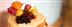 Pawsome Afternoon Tea Weekend Pawsome Afternoon Tea Weekend