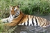Nepal Trek and Tiger Conservation Experience Nepal Trek and Tiger Conservation Experience