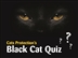Black Cat Quiz Black Cat Quiz