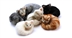 Craft For Cats Craft For Cats