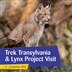 Trek Transylvania & Lynx Big Cat Project Visit