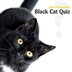 Black Cat Quiz - National Black Cat Day Black Cat Quiz - National Black Cat Day