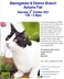 Basingstoke & District Cats Protection Autumn Fair Basingstoke & District Cats Protection Autumn Fair
