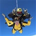 Skydive for Cats! Skydive for Cats!
