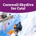 Cornwall Skydive for Cats!