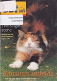 The Cat cover 2001 The Cat cover 2001