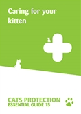 Caring for your kitten cover Caring for your kitten cover