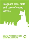 Pregnant cats, birth and the care of young kittens cover Pregnant cats, birth and the care of young kittens cover