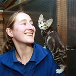 Volunteer with kitten on shoulder Volunteer with kitten on shoulder