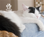 TrustedHousesitters logo and b/w cat TrustedHousesitters logo and b/w cat