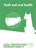 Teeth and oral health cover Teeth and oral health cover