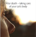 After death cover After death cover