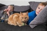 cats and your family cats and your family