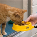 festive feed appeal festive feed appeal