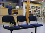 The National Cat Adoption Centre (NCAC) The National Cat Adoption Centre (NCAC)