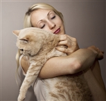 Cat being held by woman Cat being held by woman