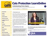E-learning screenshot