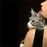 Most Caring cat Most Caring cat