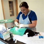 Vet with cat Vet with cat
