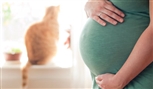 pregnant woman with cat pregnant woman with cat