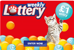 weekly lottery weekly lottery