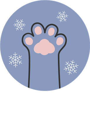 January cat care calendar January cat care calendar