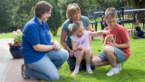 Family meeting a cat