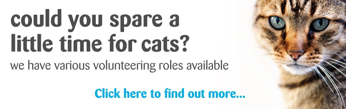 Cats Protection Devon Cats Protection Devon
