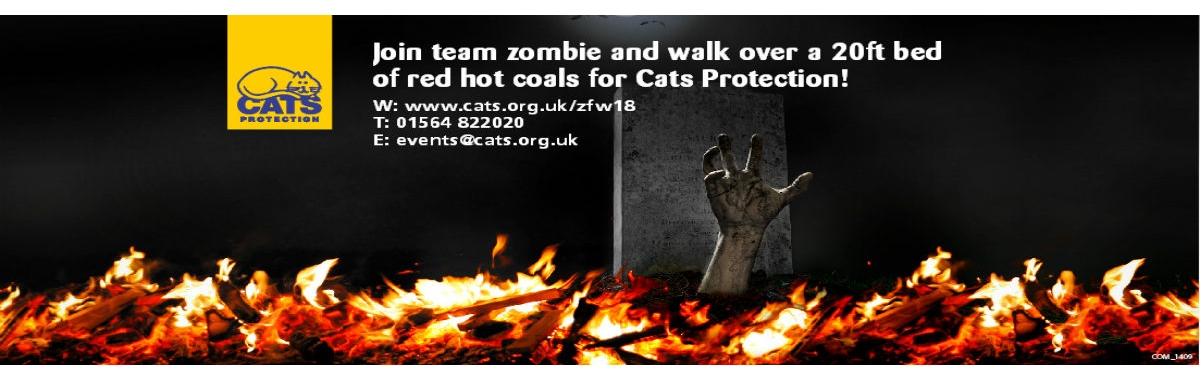 Birmingham Adoption Centre Cats Birmingham Adoption Centre Cats