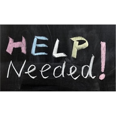⭐️CAN YOU HELP FEEDING FERALS IN GOLBORNE⭐️ ⭐️CAN YOU HELP FEEDING FERALS IN GOLBORNE⭐️
