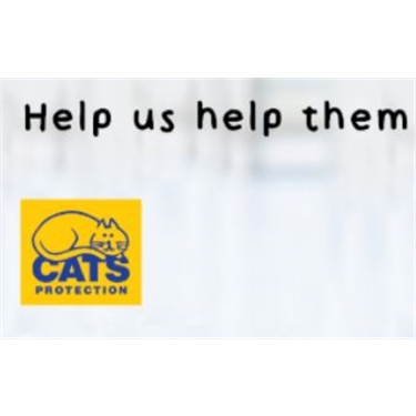 How to help Cats Protection during the COVID-19 Pandemic How to help Cats Protection during the COVID-19 Pandemic