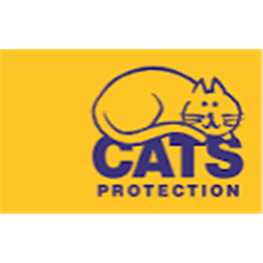 New Scratching Posts/bowls/toys etc wanted New Scratching Posts/bowls/toys etc wanted