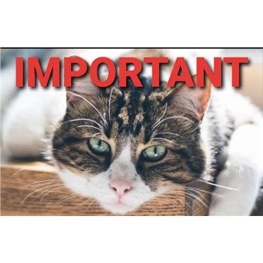 Missing pet scam warning Missing pet scam warning