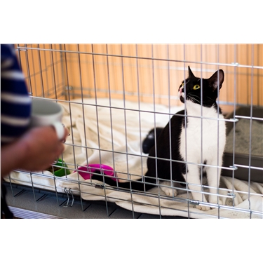 Another successful homing day Another successful homing day