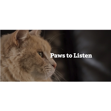 Paws to listen grief support service