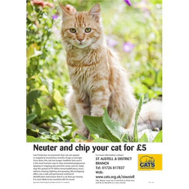 Our neutering campaign just got better Our neutering campaign just got better