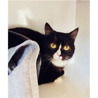 Great news Finley has settled in nicely at his new home. Great news Finley has settled in nicely at his new home.