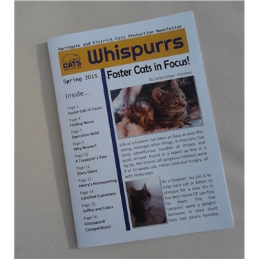 NEWSLETTER RELAUNCH NEWSLETTER RELAUNCH