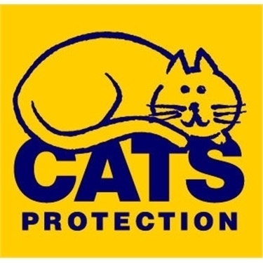 November Homing Show November Homing Show