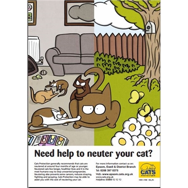 NEED HELP TO NEUTER YOUR CAT? NEED HELP TO NEUTER YOUR CAT?