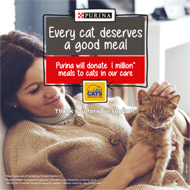 Every Cat Deserves campaign